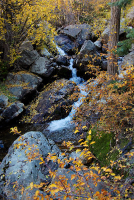 Small Creek in Big Cottonwood Canyon  DSC_0189.jpg