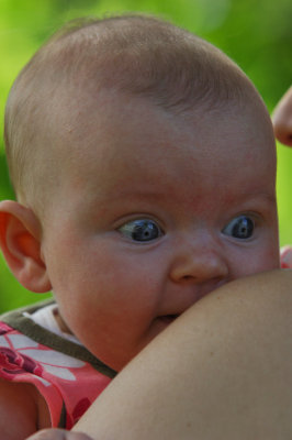 BTL_0946.jpg