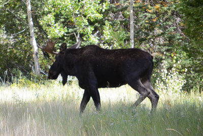 DSC_3132.jpg