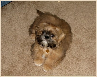 gatsby_pics_-_1008