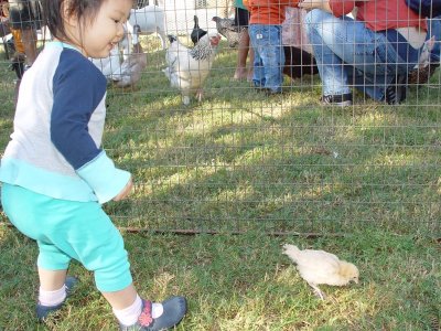 秋季園遊會, 歡歡摸小動物