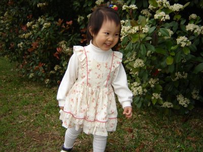 歡歡是個小花迷