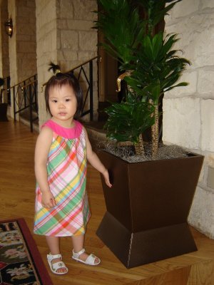 Hyatt San Antonio 的大廳