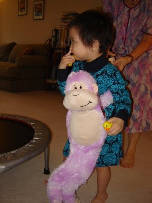 媽媽給的紫猴子