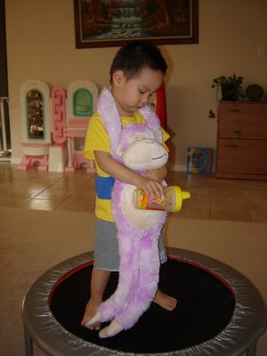 抱紫猴跳蹦床