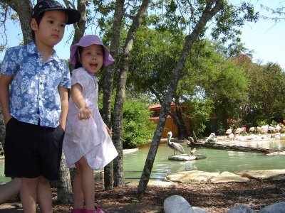 慶祝四歲生日重遊海洋公園