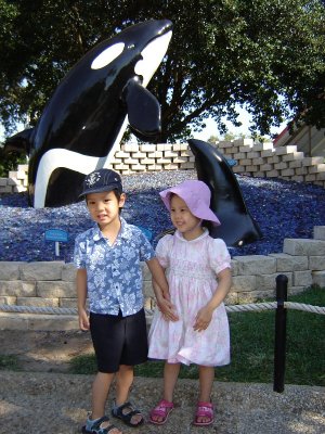 重遊海洋公園,玩得盡興