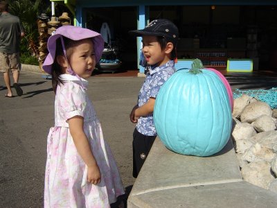 重遊海洋公園,玩得盡興