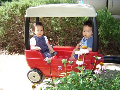 帶寶寶散步, 坐上新買的 wagon