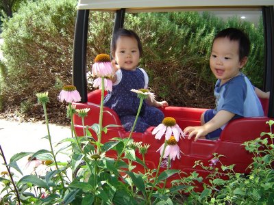 帶寶寶散步, 坐上新買的 wagon
