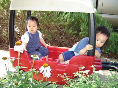 帶寶寶散步, 坐上新買的 wagon