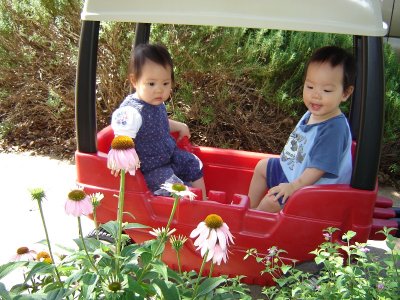 帶寶寶散步, 坐上新買的 wagon