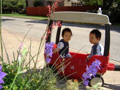 帶寶寶散步, 坐上新買的 wagon