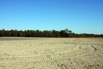 Nov 01 2008_0092.jpg