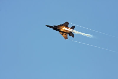 Apr 26 2009_0489.jpg