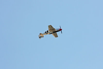 Apr 26 2009_0847.jpg