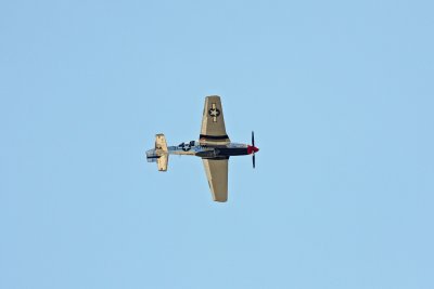 Apr 26 2009_0848.jpg