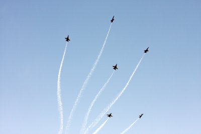 Apr 26 2009_1493.jpg