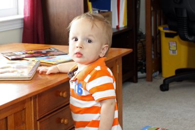 9 Months