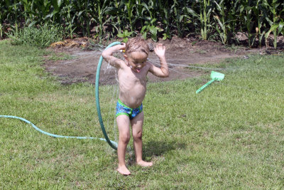 3 Years Old