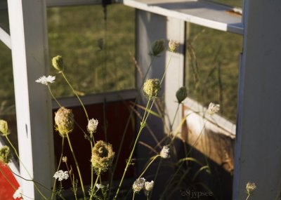 not really weeds