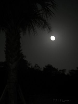 last nights moon
