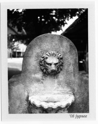 lion's head fountain