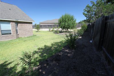 backfence