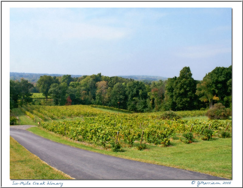 Six-Mile Creek Winery