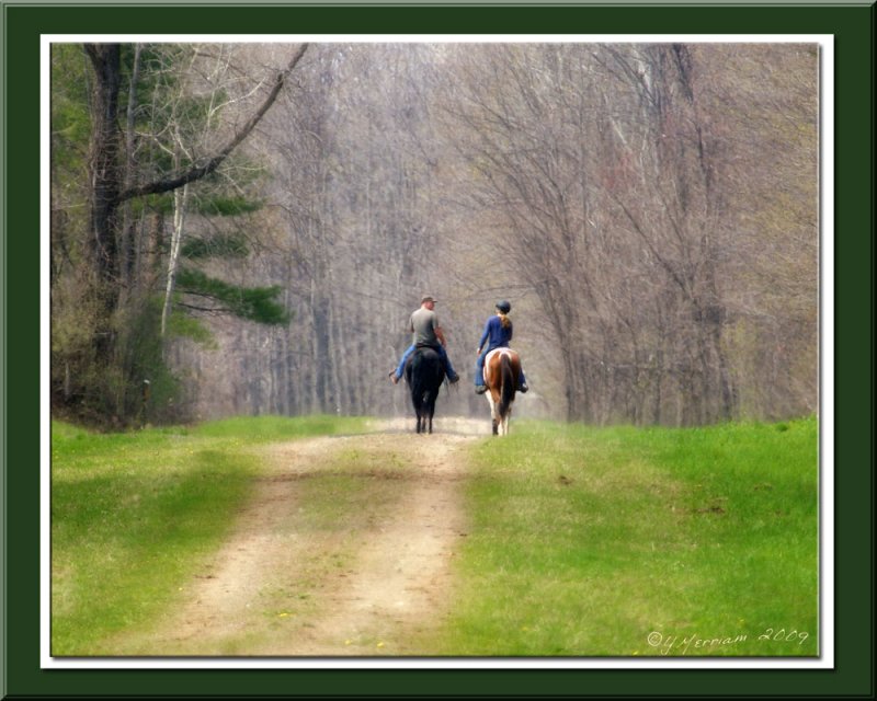 On the Trail