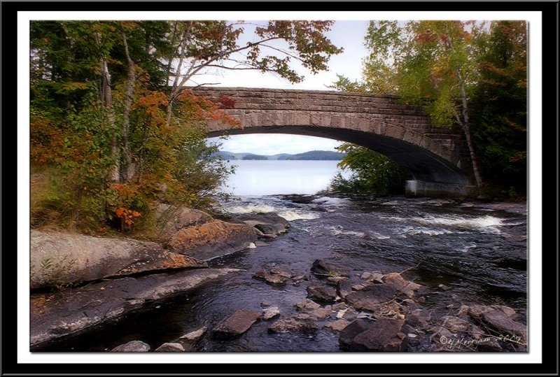 Bog River on Tupper Lake