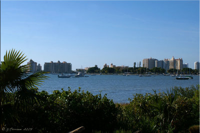 Sarasota From Selby