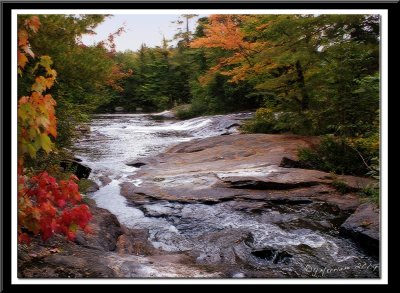 Horseshoe Lake Inlet Tributary