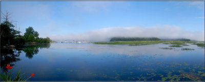 Emerging from the Fog ~ Tupper Lake