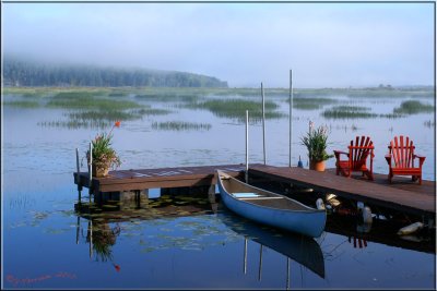 Moody Dock in the Morning