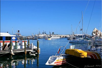 Busy Morning at the Harbor