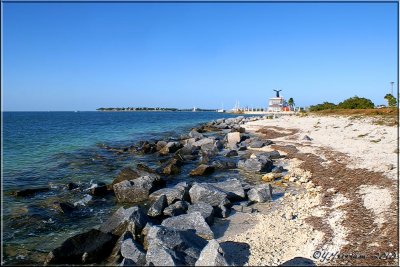 Rocky Shoreline