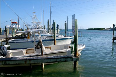 Boats in a Row