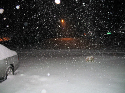 December Snow 2008