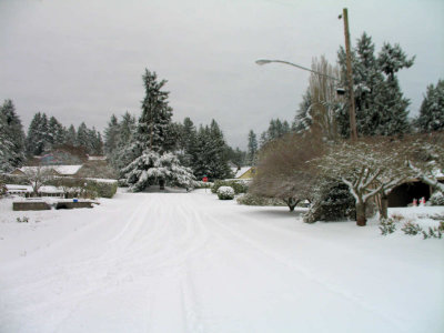 December Snow 2008