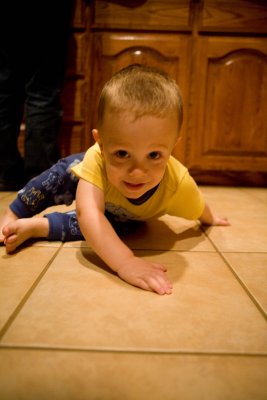 Toddler's Eye View