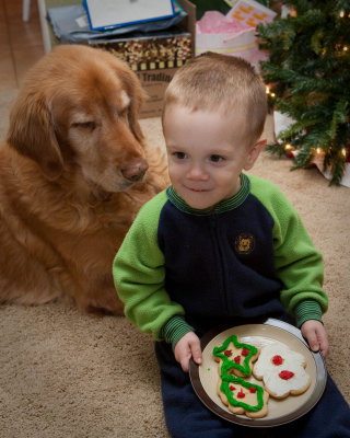 Cookies For Santa