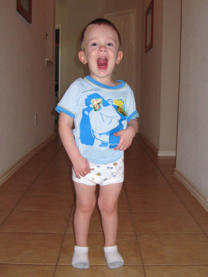 Big Boy Pants