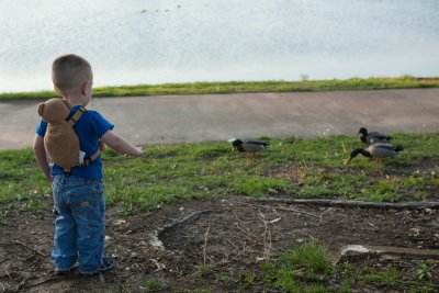 Duck Wrangler