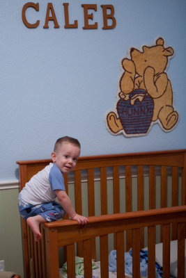 Crib Houdini