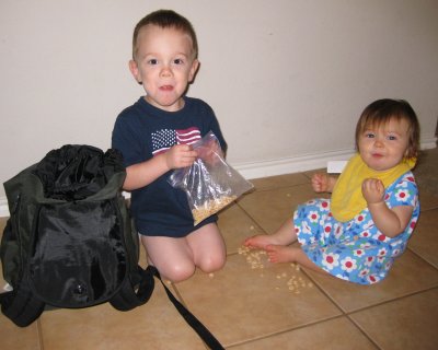The Picnic