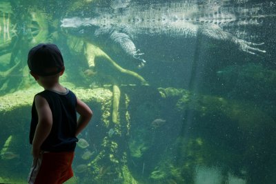 Leviathan