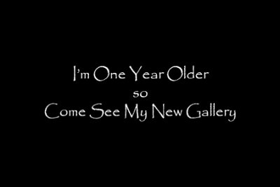 My Year of Being Two