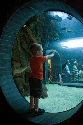 Supersized Fish Tank
