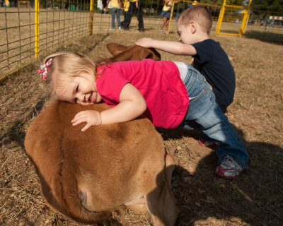 Hugs for the Cow
